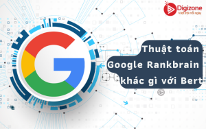 Thuật toán Google Rankbrain khác gì với Bert