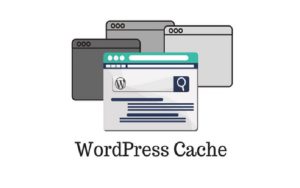 Tại sao phải xóa Wordpress Cache