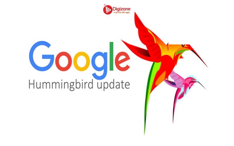 Thuật toán Hummingbird là gì?