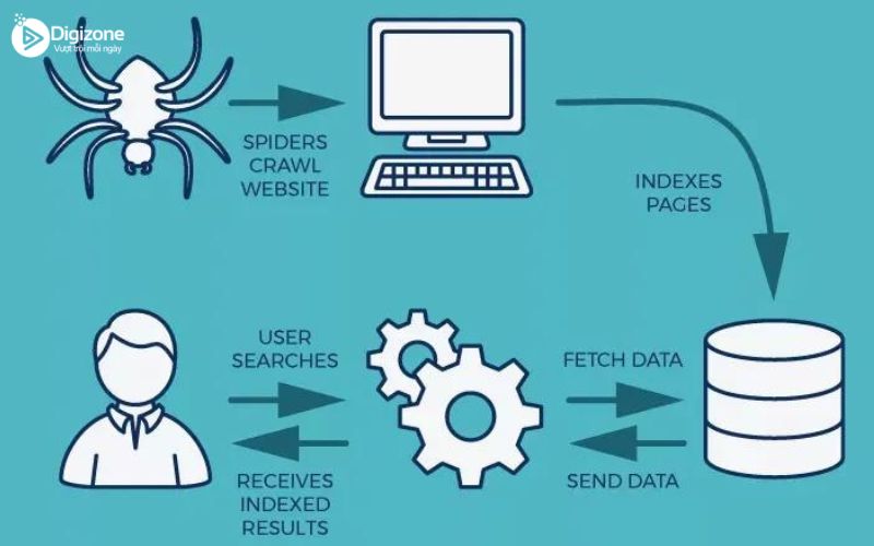 Crawl là gì? Những điều cần biết về Crawl Website 7 Website Crawl là gì?