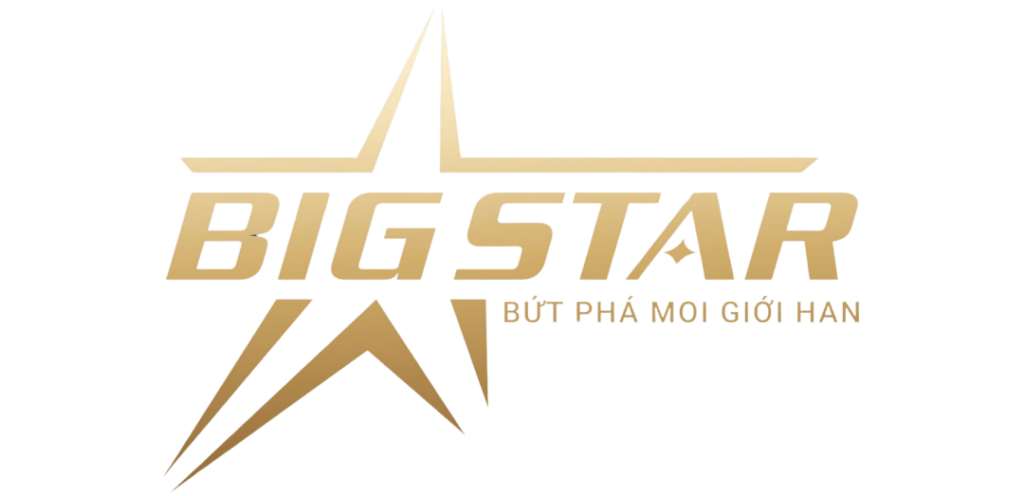 Công Ty Cổ Phần Thương Mại Và Đầu Tư BigStar